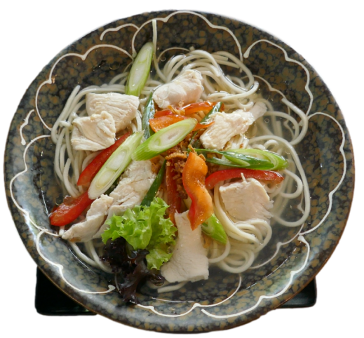 Udon-Nudelsuppe